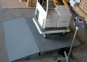 專業直供 1噸、2噸、3噸電子地磅與配套網絡技術服務，一站式解決方案